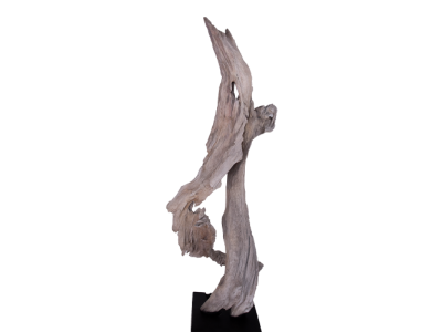 Escultura